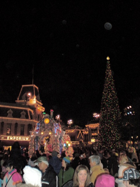 DSCN0084.jpg-The Disney Christmas tree : This was just after Santa's parade, so it was packed!