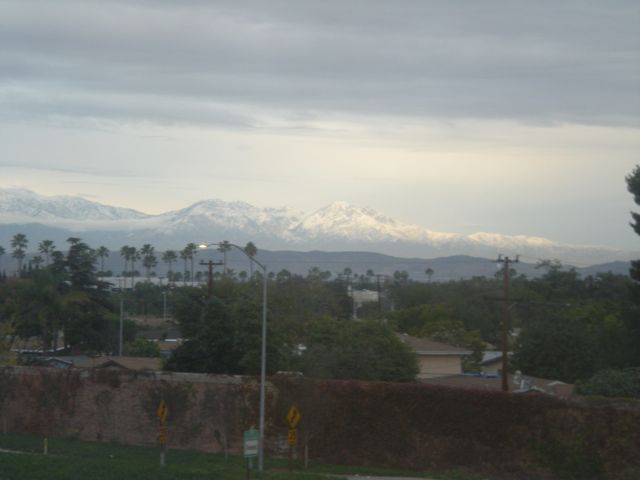 Snow in the San Gabrial Mountains : The view from our hotel.  Snow in LA.  Wierd.