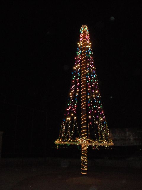 San Felipe's Arbol del Navidad : (Christmas tree)