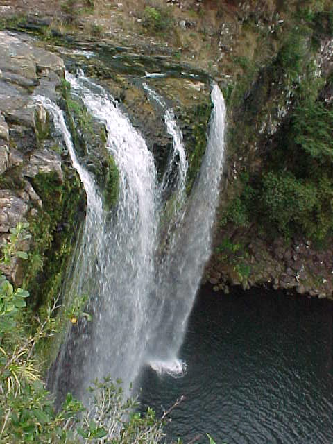  (New Zealand, The Travel Addicts, North Island)