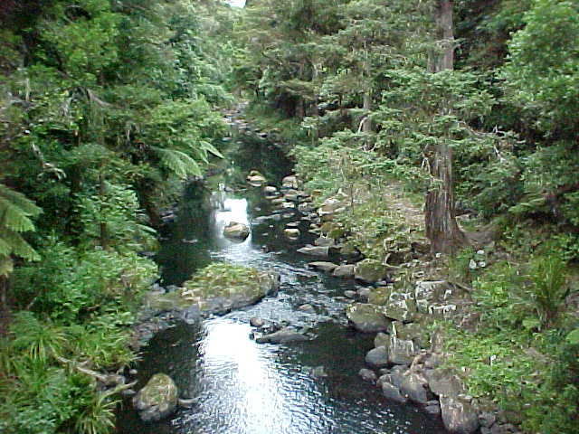  (New Zealand, The Travel Addicts, North Island)