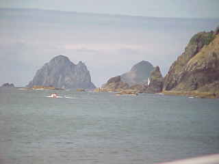 Cliffs in the Bay Of Islands, Northland, New Zealand (New Zealand, The Travel Addicts, North Island)