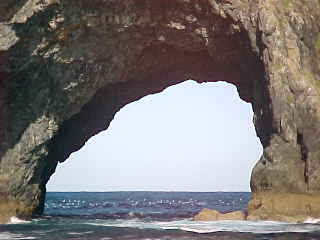 The hole in the rock Cape Brett, Northland, New Zealand (New Zealand, The Travel Addicts, North Island)