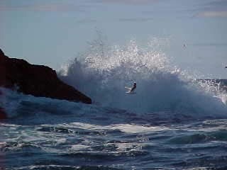 A wave crashing against the rock.   Cape Brett, Northland, New Zealand (New Zealand, The Travel Addicts, North Island)