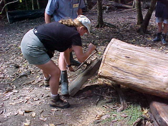  (New Zealand, The Travel Addicts, North Island)