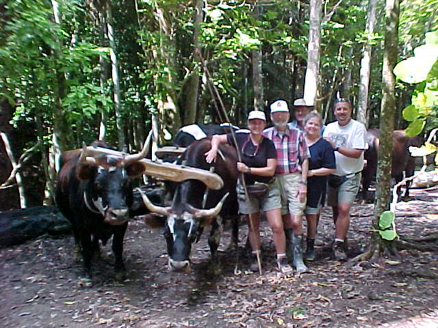  (New Zealand, The Travel Addicts, North Island)