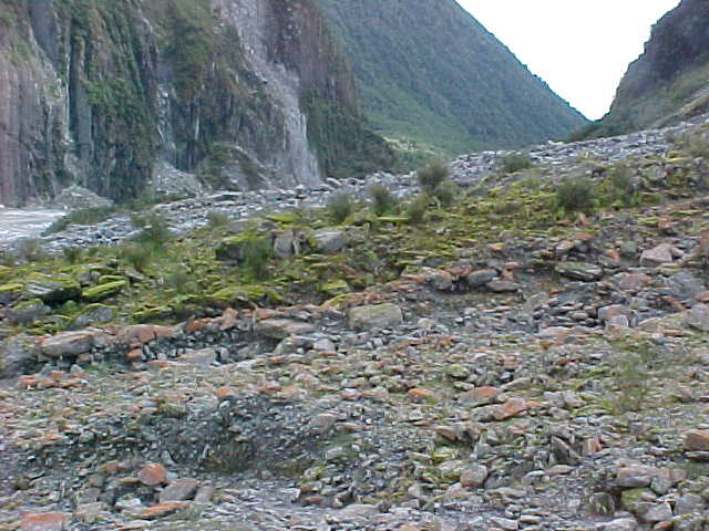 According to a sign here, you can pick out three stages of growth - the clean rock farthest away marks the most recent terrain, the red in the middle marks the second stage and the green the oldest.    It takes 150 years for a forest to reach maturity after the ice has gone - and that is if the frequent landslides don't wipe it away (The Travel Addicts, New Zealand, South Island)