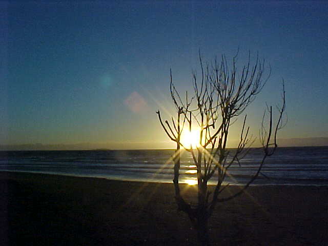  (South Island, The Travel Addicts, New Zealand)