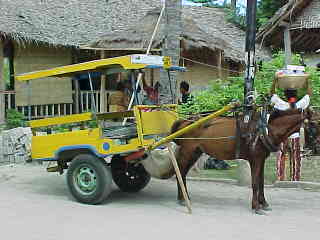  (The Travel Addicts, Bali, Indonesia)