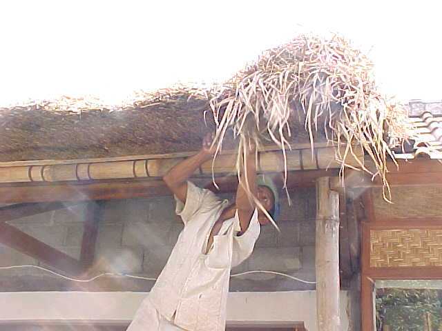 fixing a thatched roof in Ubud