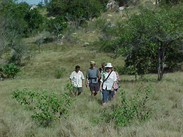 It was much hotter and dryer here than on Komodo (Indonesia, The Travel Addicts, Rinca, Nusa Tengarra Timur)