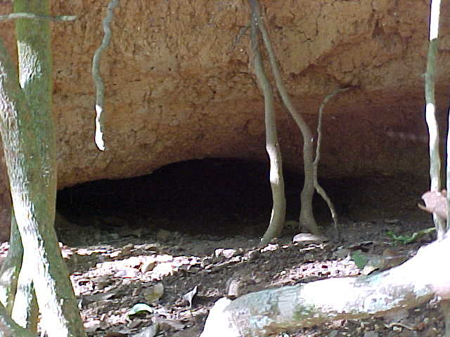 Cave.  Location:Komodo National Park, Komodo, Nusa Tenggara Timur, Indonesia (Indonesia, The Travel Addicts, Komodo)