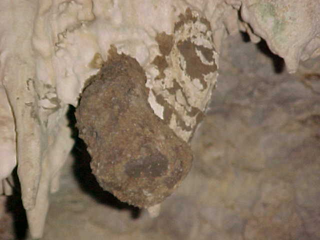 Swallows live in these caves, and soup is made from their nests (Indonesia, The Travel Addicts, Flores, East Nusa Tengarra)