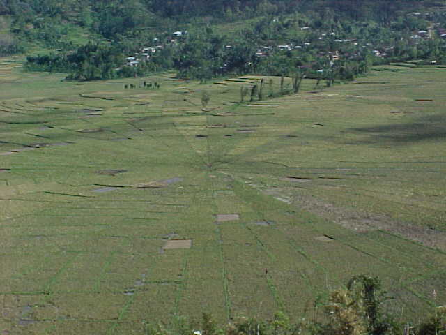  (Indonesia, The Travel Addicts, Flores, East Nusa Tengarra)