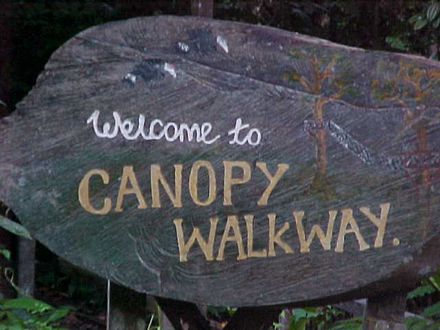 Welcome to the canopy walkway : The canopy walkway was a series of suspension bridges from tree to tree up in the crown of the forest.  The idea was to let you see the different biosphere in the canopy of the forest. (Malaysia, The Travel Addicts)