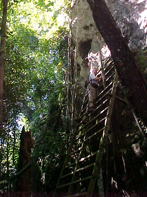 SGK climbs to view the bones (Malaysia, The Travel Addicts)