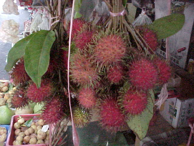 Rambutans (Malaysia, The Travel Addicts)