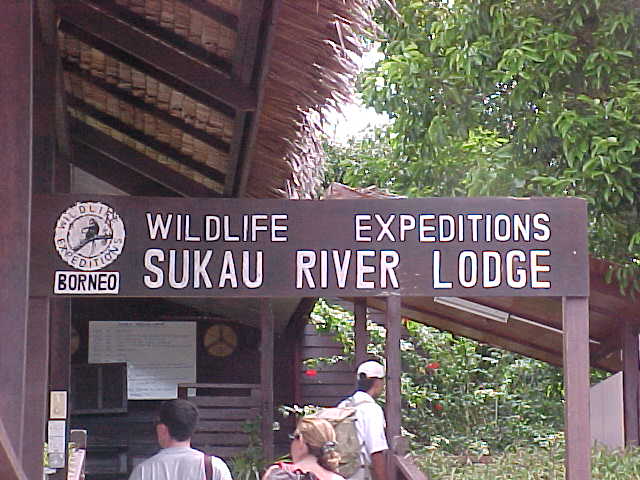 Wildlife Expiditions' Sukau River Lodge : This is where we stayed (Malaysia, The Travel Addicts)