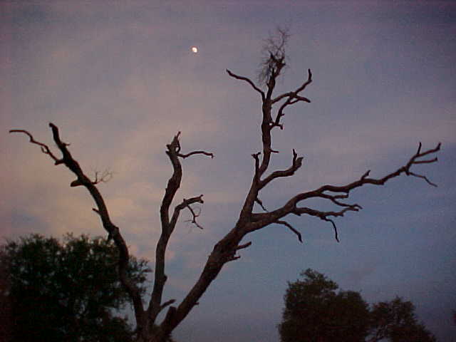 The moon at Phnom Bakeng :  (Cambodia, The Travel Addicts)