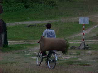 Delivering rice shoots :  (Cambodia, The Travel Addicts)