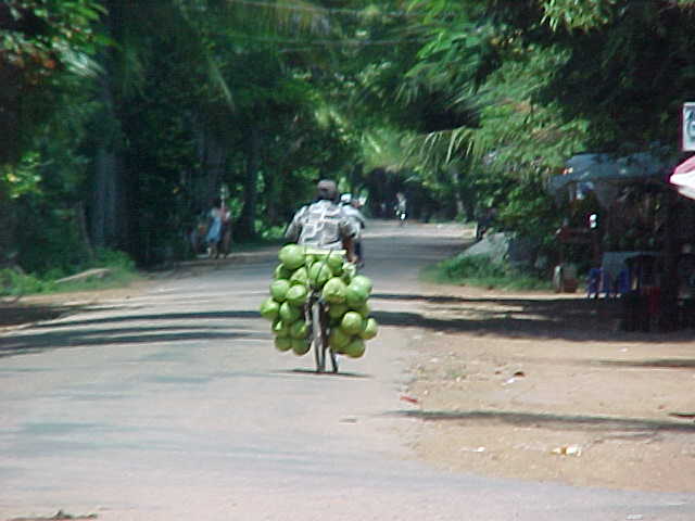 Selling mellons (Cambodia, The Travel Addicts)