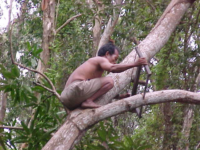 Cutting wood (Vietnam, The Travel Addicts)