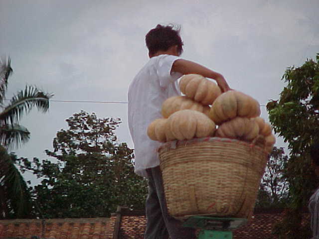 Commerce on the river (Vietnam, The Travel Addicts)