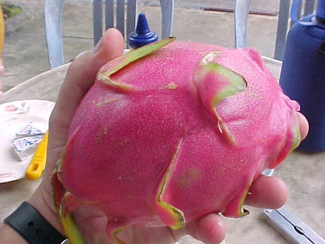 The delicious dragon fruit (Vietnam, The Travel Addicts)