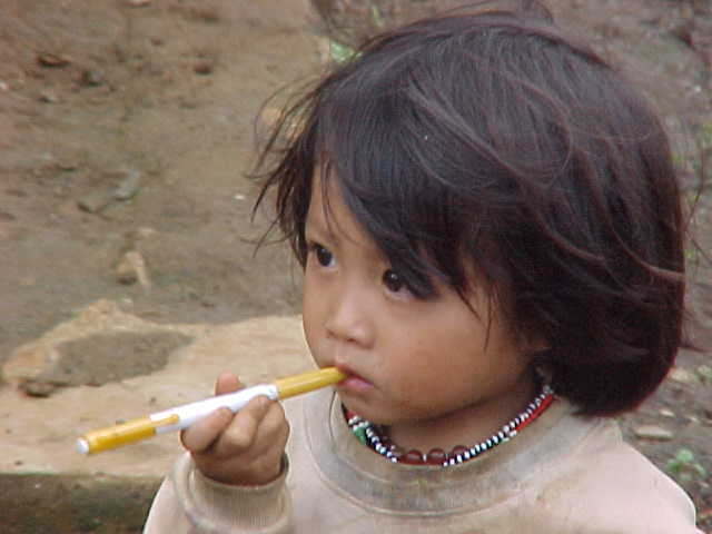 Children of the chicken village :  (Vietnam, The Travel Addicts)