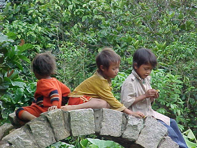 Children of the chicken village :  (Vietnam, The Travel Addicts)