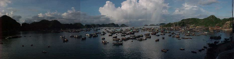 56970-Panorama of Cat Ba harbour :  (The Travel Addicts, Vietnam)