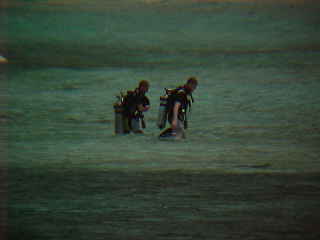 Divers returning from the sea :  (The Travel Addicts, Thailand)