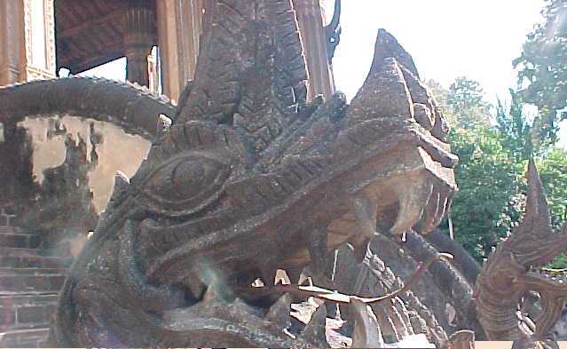 Bronze tounged dragon