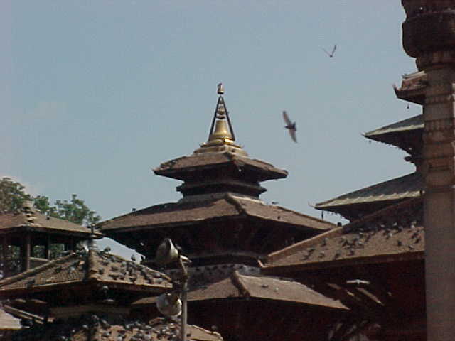 Palace rooftop (Nepal, The Travel Addicts)