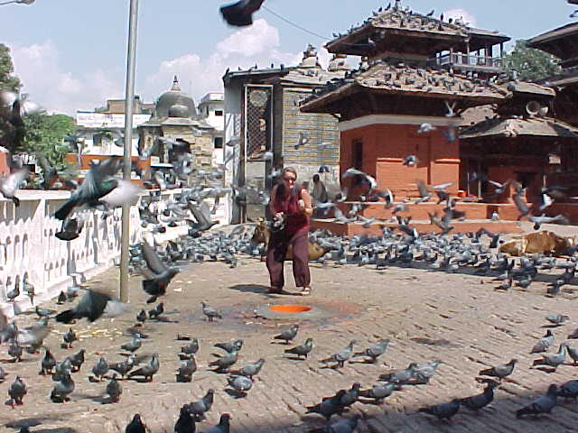 SGK scares the birds (Nepal, The Travel Addicts)