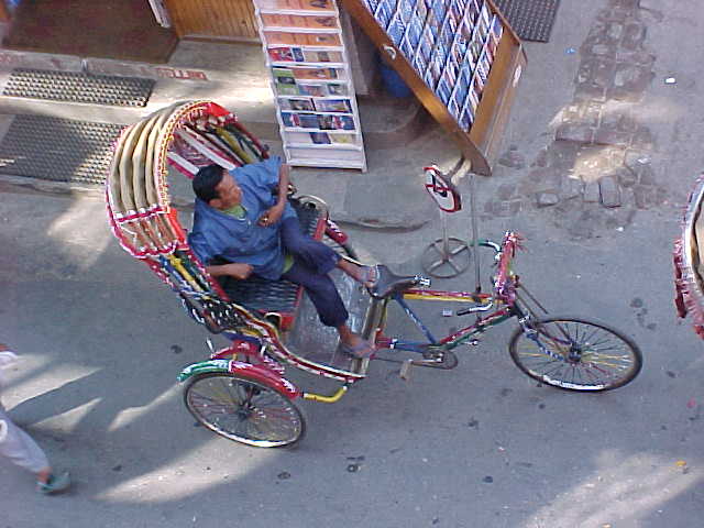 Bicycle rickshaw (Nepal, The Travel Addicts)