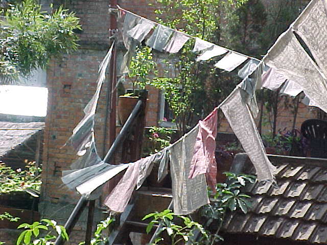 Prayer flags :  At a resturant called "New Orleans Blues" (Nepal, The Travel Addicts)