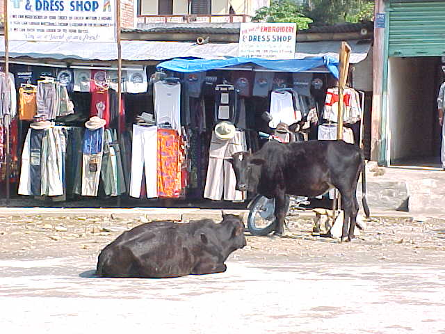  (Nepal, The Travel Addicts)