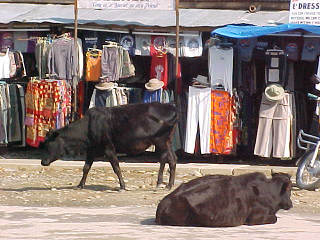  (Nepal, The Travel Addicts)