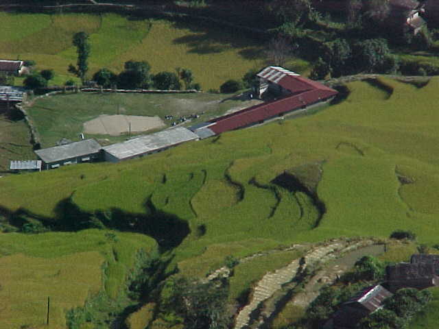 Rice paddys of Dhampus (Nepal, The Travel Addicts)