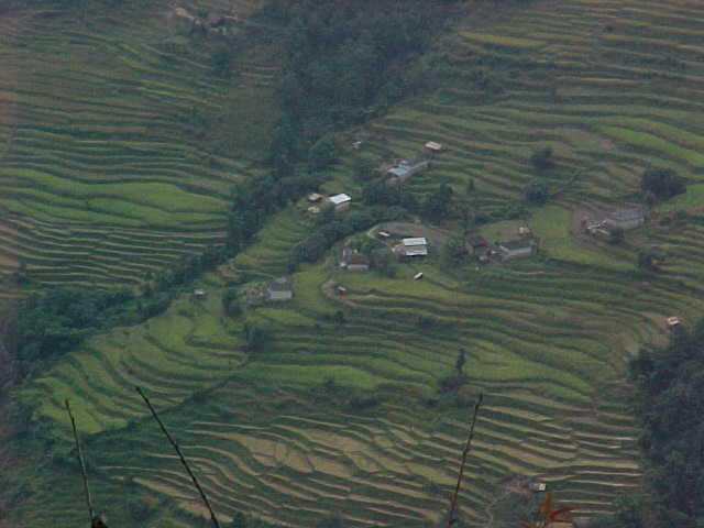 Rice terraces of Siding (Nepal, The Travel Addicts)