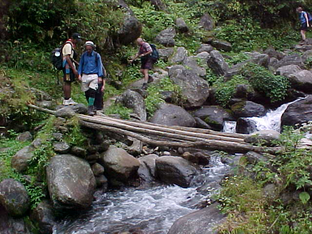 Primitive bridge (Nepal, The Travel Addicts)