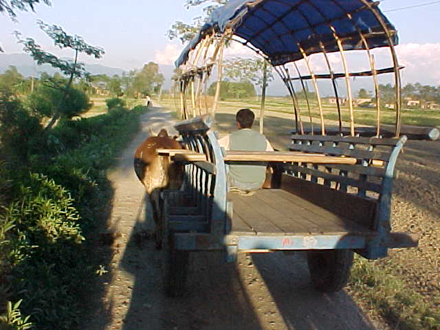 The ox cart that we rode to the village in (Nepal, The Travel Addicts)