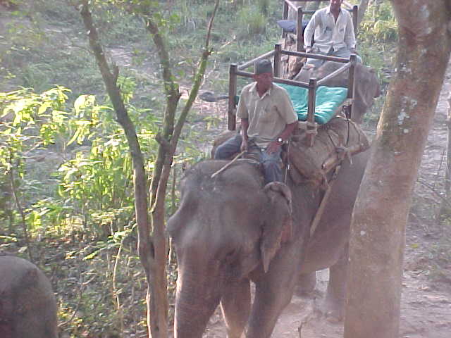 Our steed approaches (Nepal, The Travel Addicts)