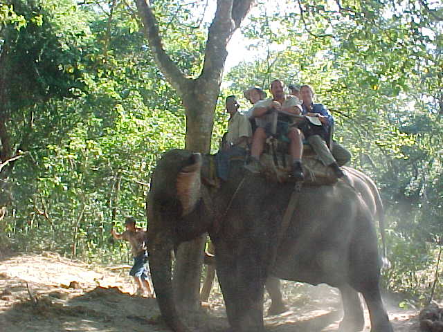 -In the howdah atop our mighty hathi! (Nepal, The Travel Addicts)