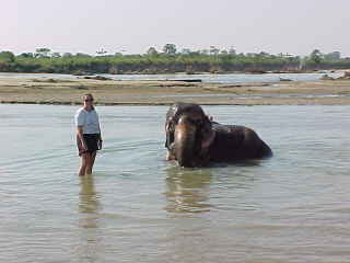 SGK and the elephant's bath!