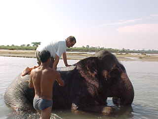 My turn to give the elephant a bath