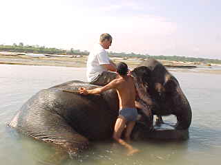 My turn to give the elephant a bath