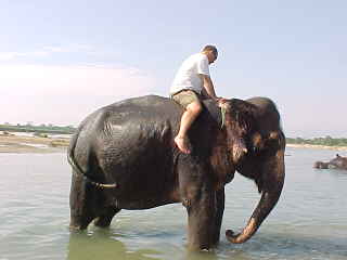 My turn to give the elephant a bath