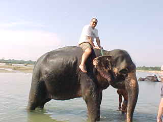 My turn to give the elephant a bath